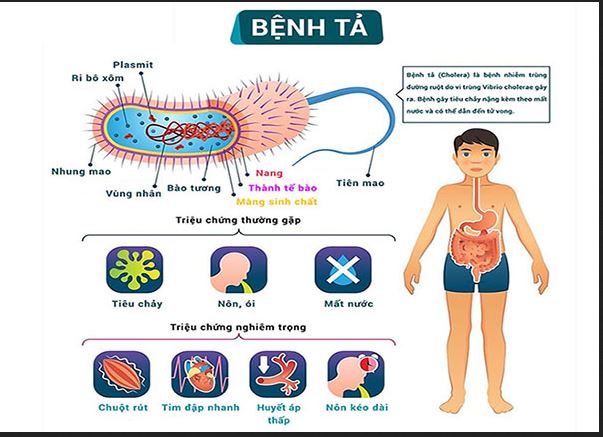 Cảm Tả Ở Người Lớn: Khám Phá Sức Mạnh Của Tâm Trí Và Trải Nghiệm