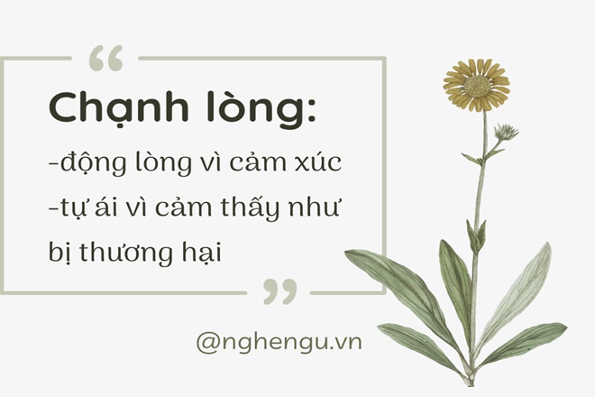 Cảm thấy chạnh lòng là gì? Gallery 2
