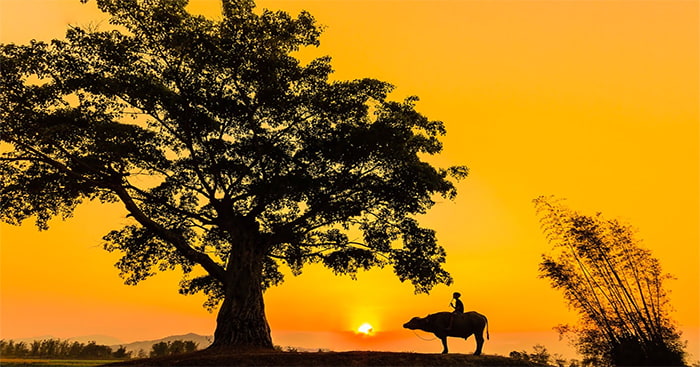 Tả cảnh hoàng hôn trên quê hương em Gallery 2