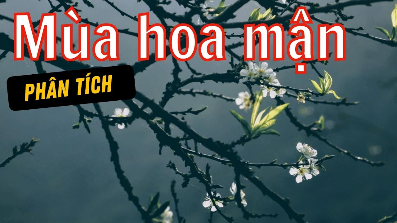 Phân tích và đánh giá bài thơ Mùa hoa mận của Chu Thùy Liên Gallery 2