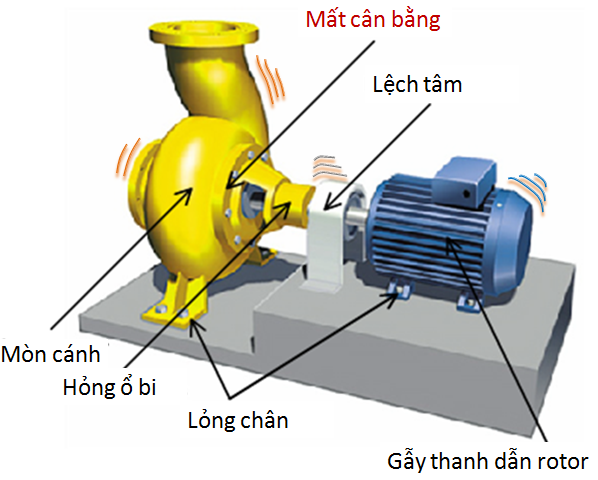 Cân bằng động là gì?