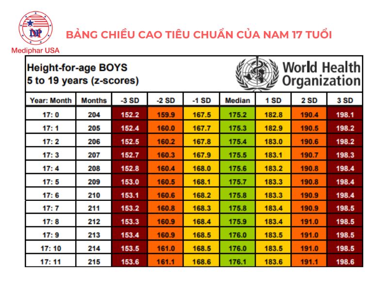 Cần Bao Nhiêu Chân Thành Của Tuổi Trẻ?