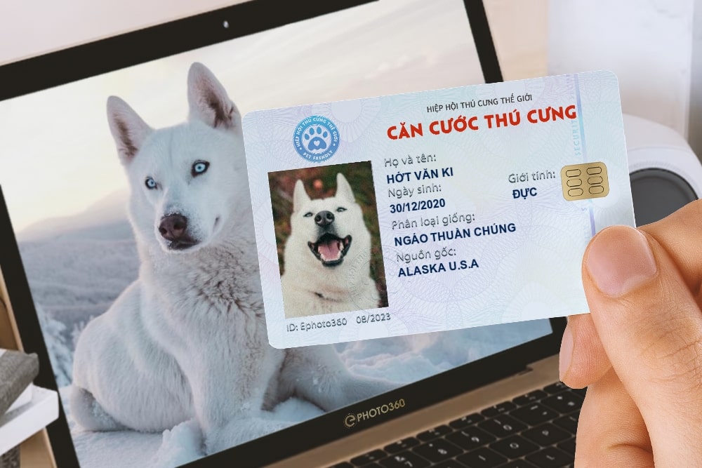 Căn cước thú cưng là gì?