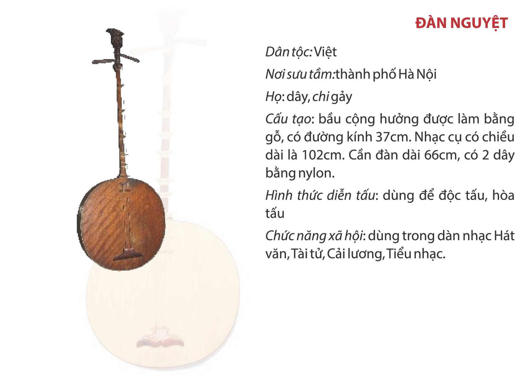 Cấu tạo đàn Nguyệt Gallery 2