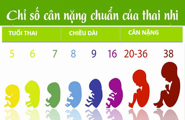 36 Tuần Bé Nặng Bao Nhiêu Kg? Gallery 1