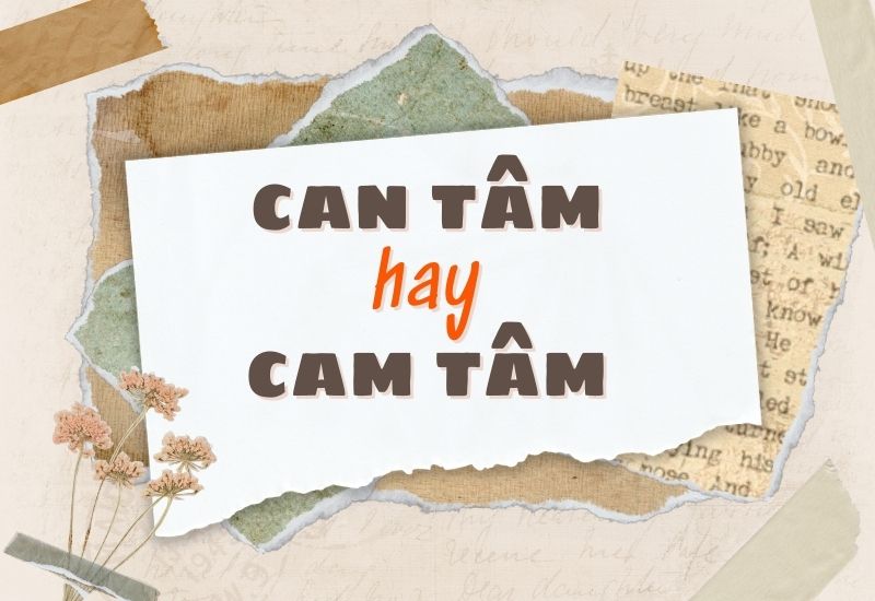 Can Tâm Là Gì?