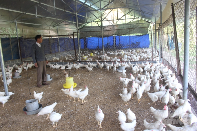 Cần tìm người trông coi trang trại