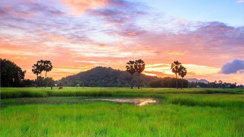 Cảnh Đẹp Đồng Quê Việt Nam: Hình Ảnh và Trải Nghiệm Tuyệt Vời