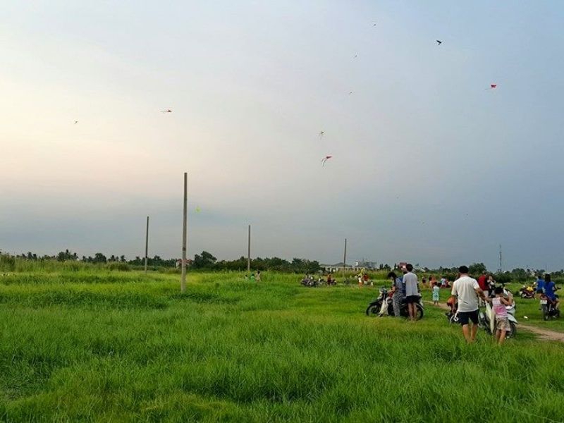 Cánh Đồng Diều Gò Vấp
