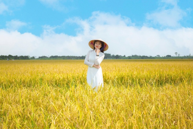 Cánh đồng lúa chín