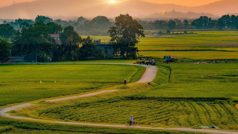 Cảnh Đồng Quê Yên Bình