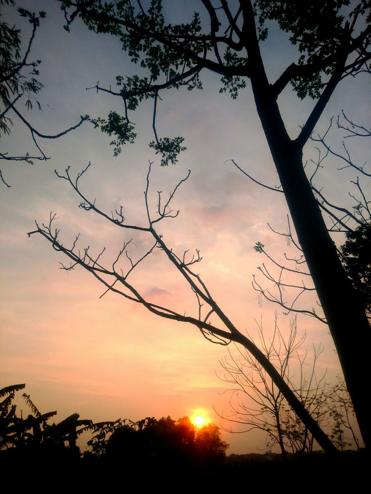 Cảnh Hoàng Hôn Ở Quê