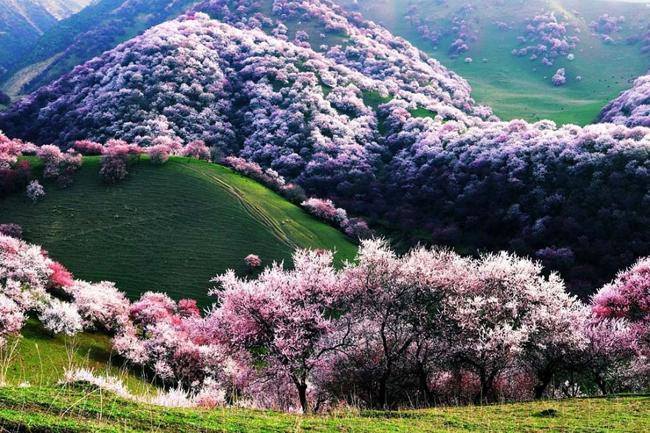 Cảnh Núi Rừng Đẹp Như Thiên Đường