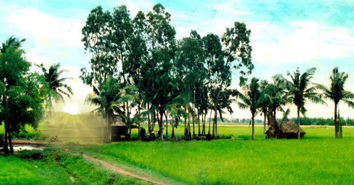 Tả một buổi sáng Gallery 1