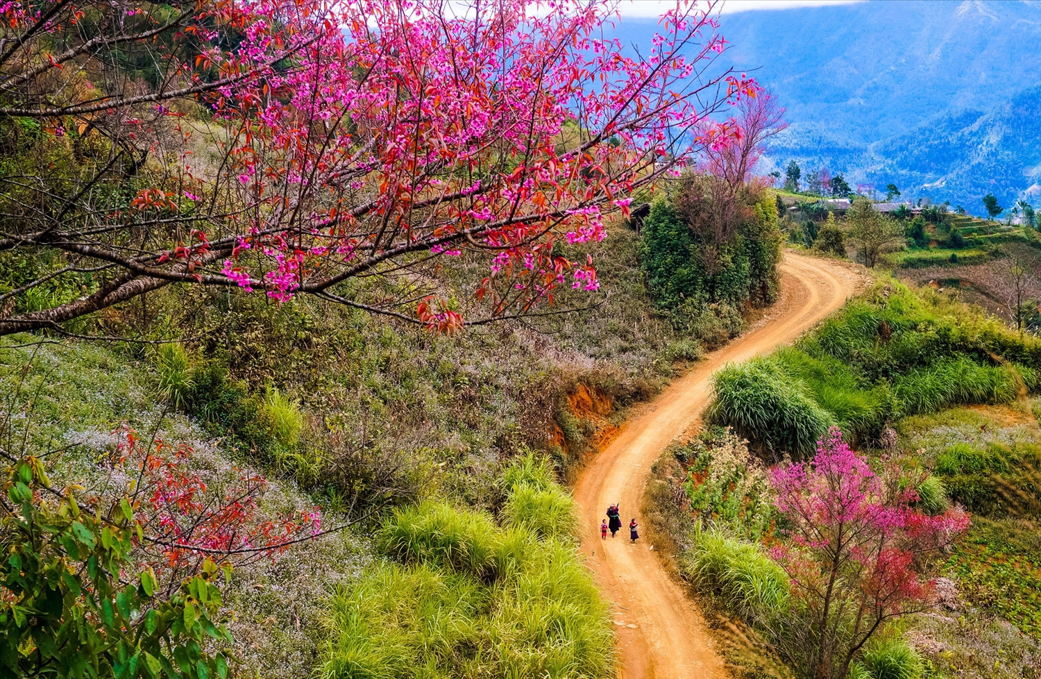 Cảnh Sắc Mùa Xuân Vùng Trung Du