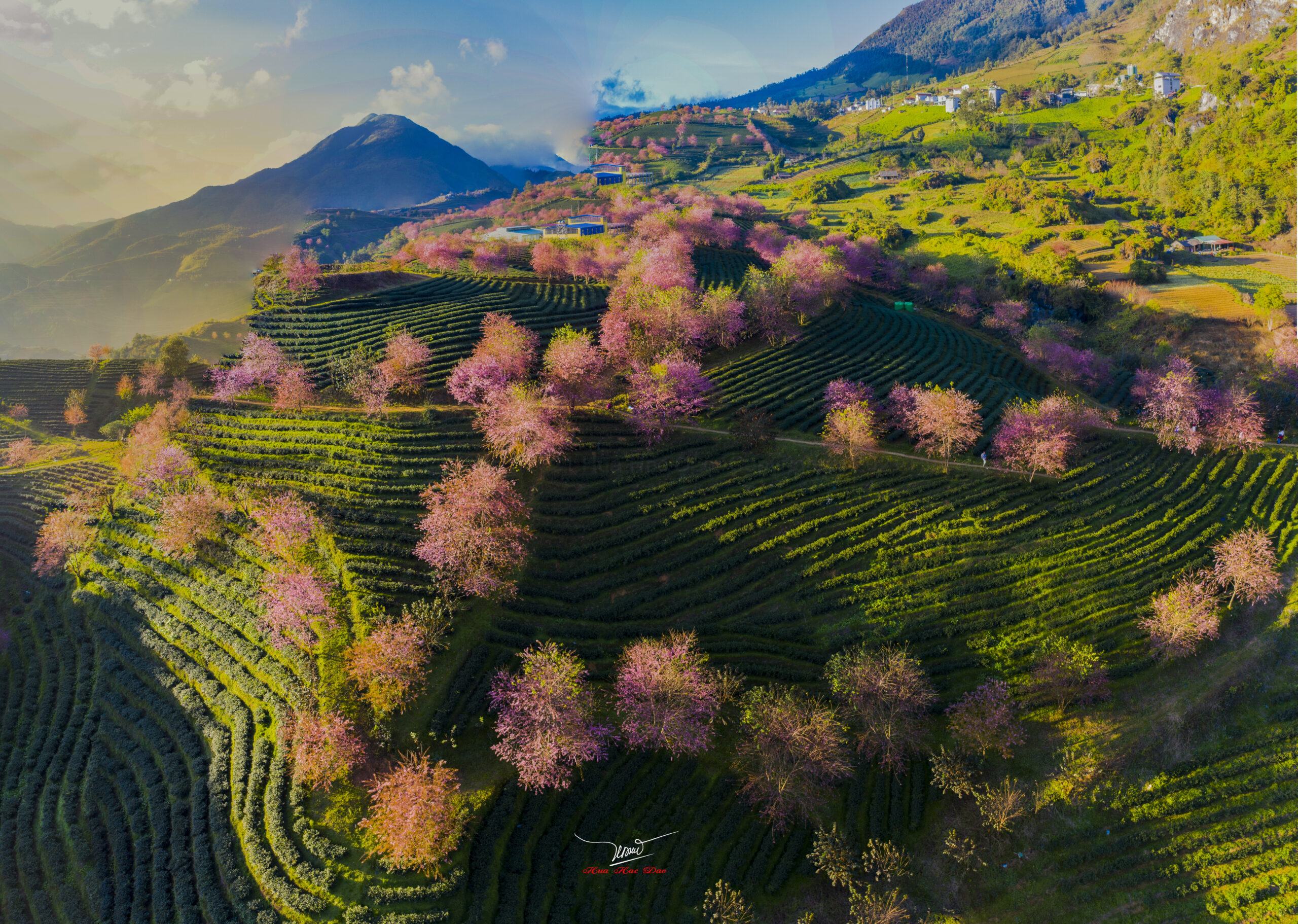 Cảnh Sắc Mùa Xuân Vùng Trung Du Gallery 2