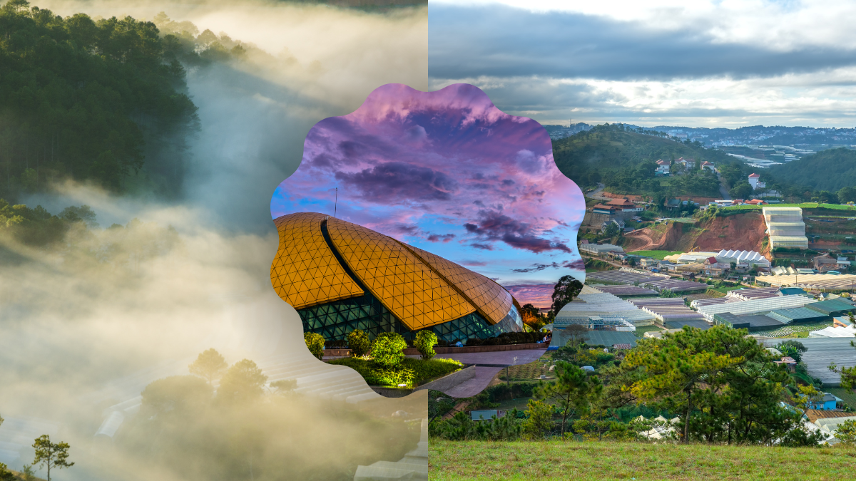Bài Văn Tả Đà Lạt Gallery 2