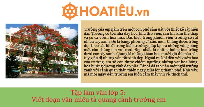 Viết đoạn văn tả cảnh sân trường lớp 5 Gallery 2