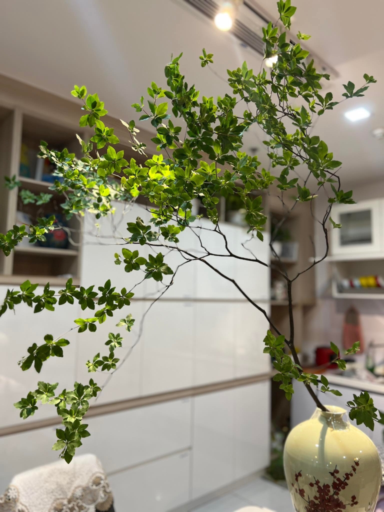 Cành Thạch Nam Tươi