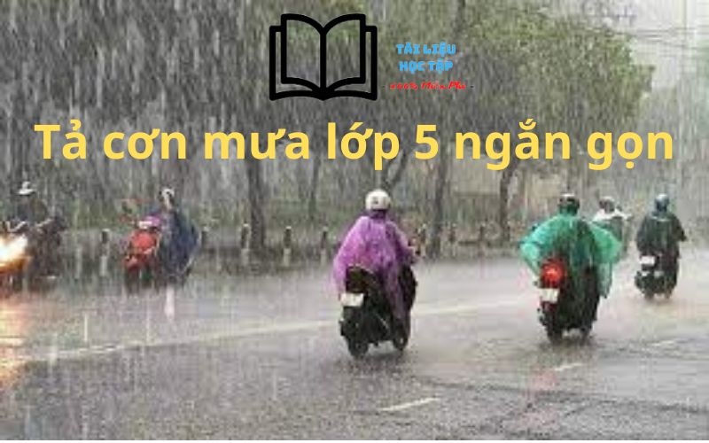 Tả cảnh trời mưa lớp 5 ngắn gọn Gallery 1