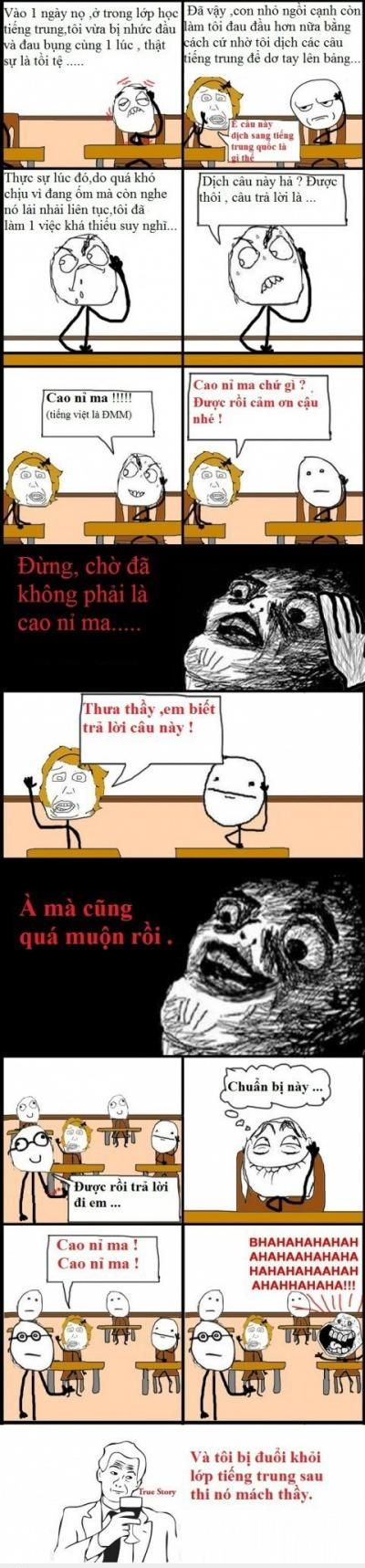Cao Nỉ Ma Là Gì? Gallery 2