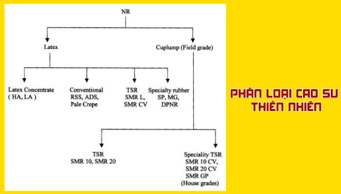 Phân Loại Cao Su Gallery 1