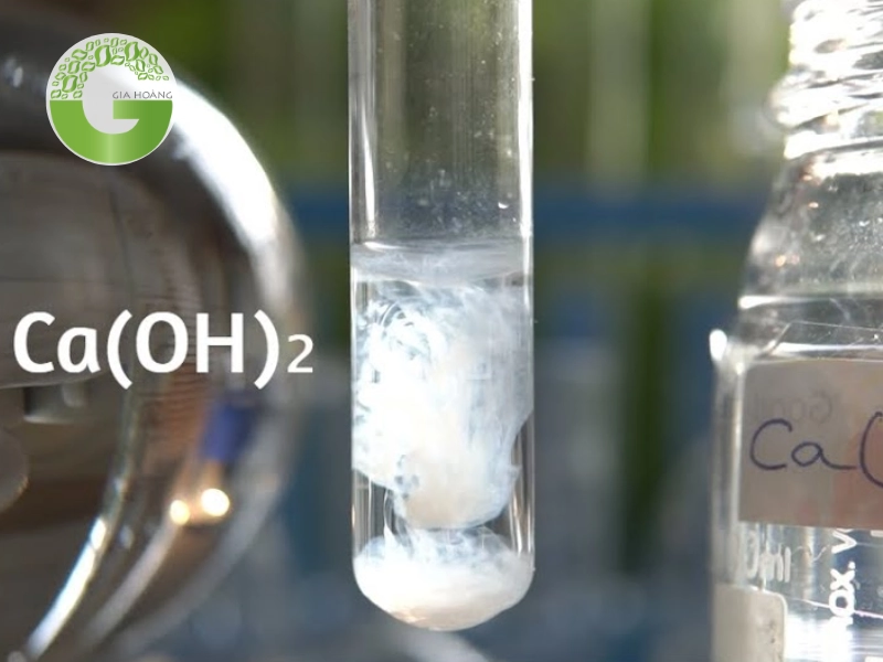 Ca(OH)2 có kết tủa không?