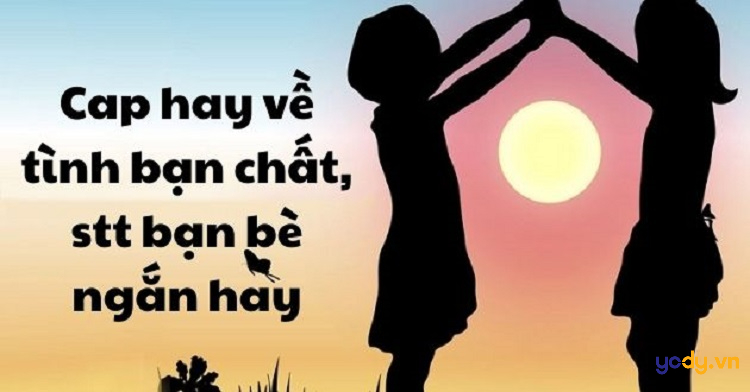 Cap Hay Về Bạn Bè Ngắn Gallery 2