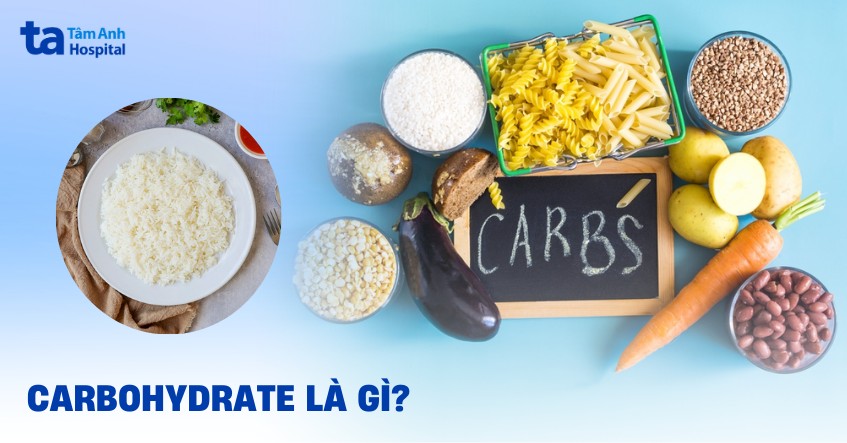 Carbohydrate Có Tác Dụng Gì? Gallery 2