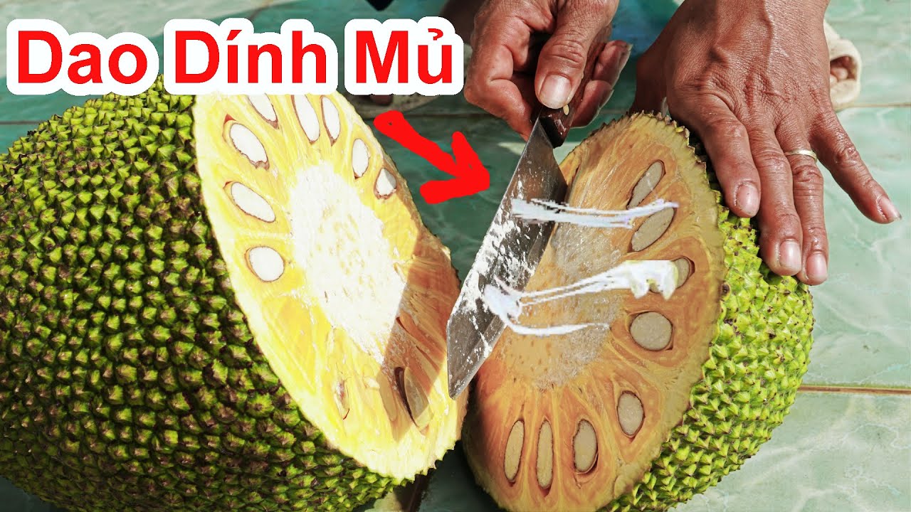 Cắt Mít Không Dính Mủ