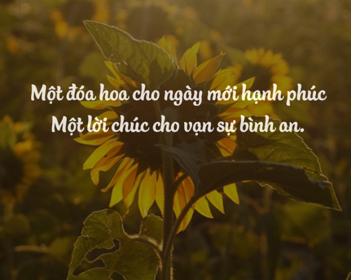 Câu Chúc Sức Khỏe Ngắn Gọn