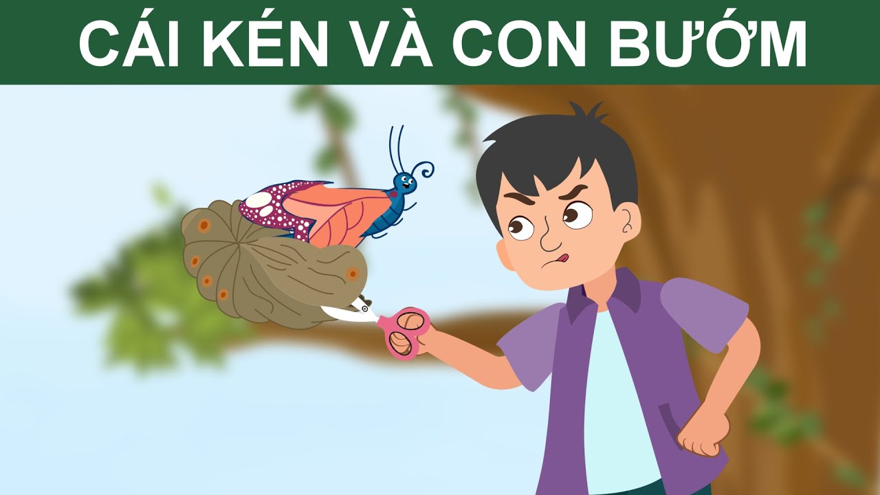 Câu chuyện cảm động về cái kén bướm: Sự nỗ lực và trưởng thành