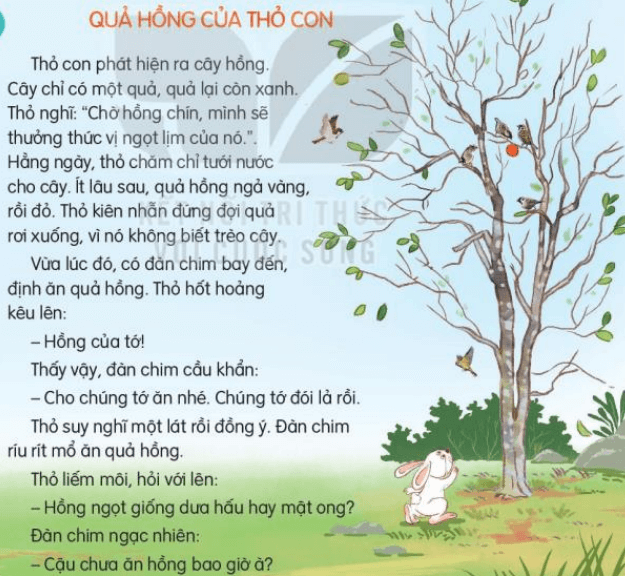 Truyện Quả Hồng Của Thỏ Con