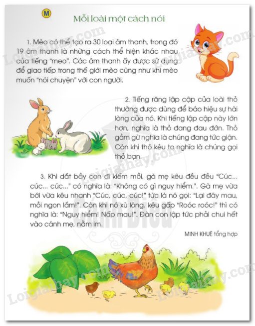 Câu chuyện về các con vật nuôi trong gia đình