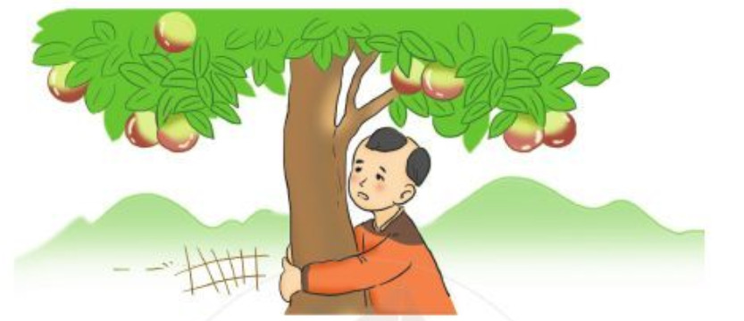 Kể Chuyện Cây Vú Sữa Gallery 2
