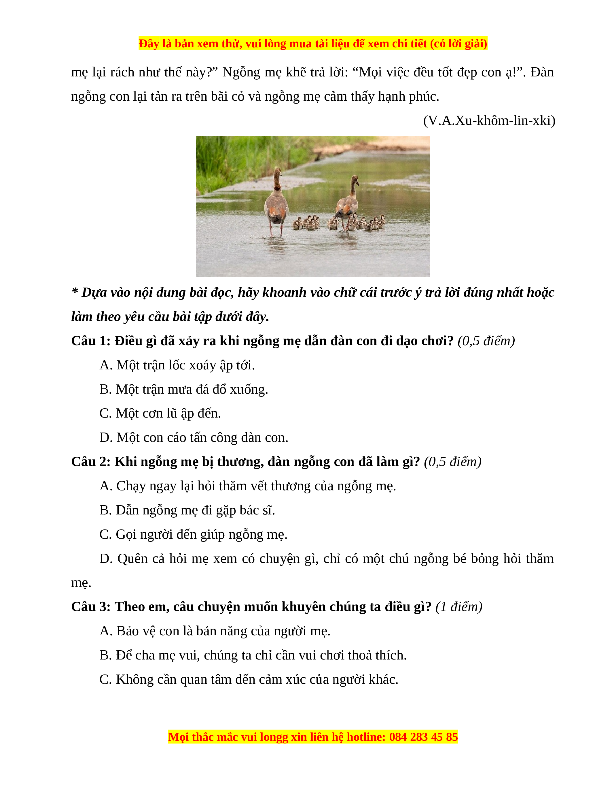 Câu chuyện về ngỗng mẹ lớp 3