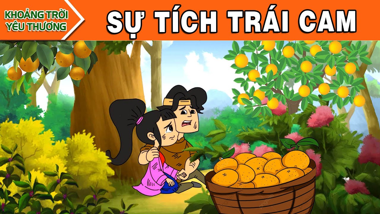 Câu chuyện về quả cam: Từ cây đến bàn ăn