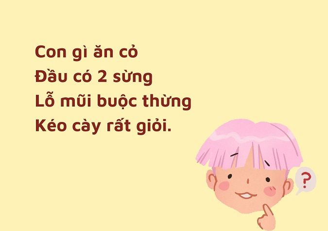 Câu Đố Vui Nhộn Cho Bé Lớp 2