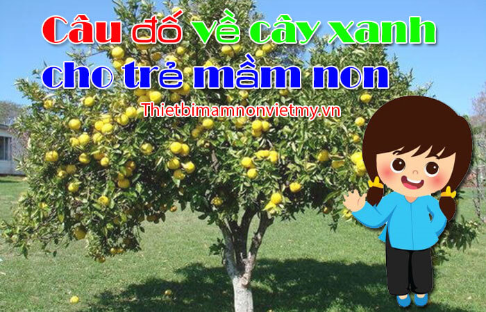 Câu Đố Về Cây Xanh: Giải Đáp và Những Câu Đố Thú Vị