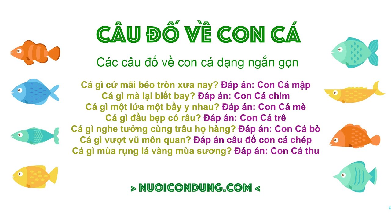 Câu Đố Về Con Cá Vàng: Giải Đáp và Những Câu Đố Khác
