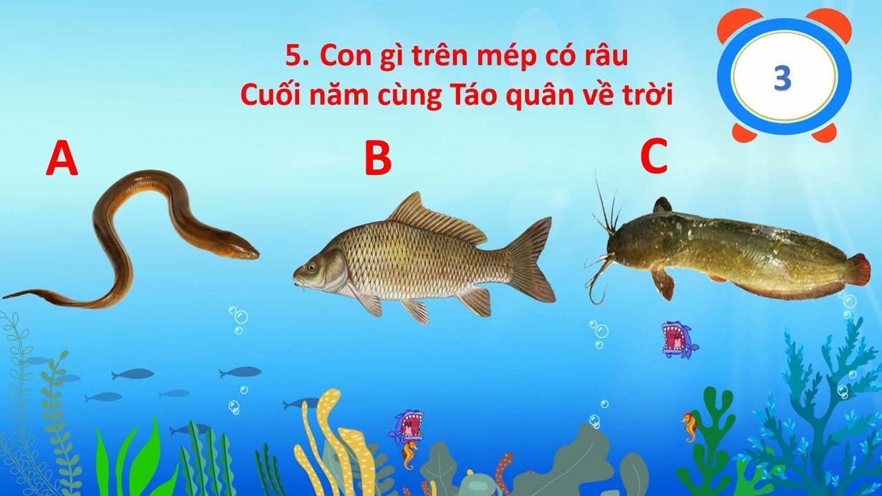 Câu Đố Về Con Vật Dưới Biển: Bạn Có Biết Đây Là Con Gì Không?
