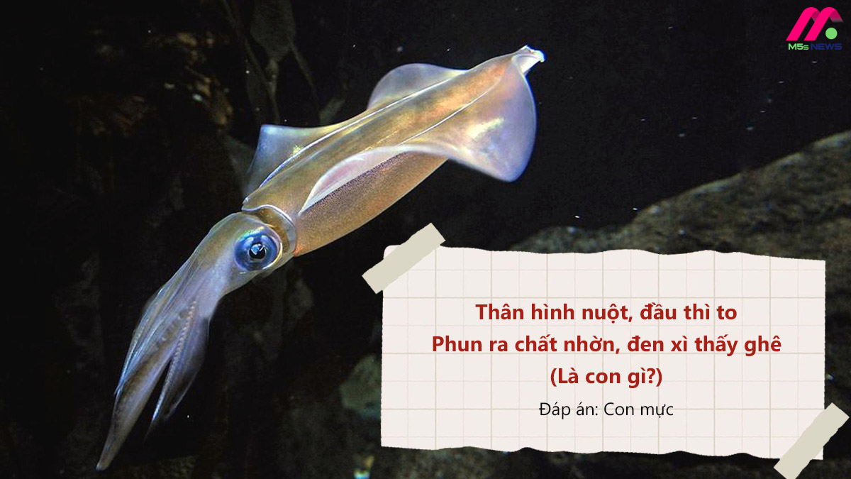 Câu Đố Về Con Vật Sống Dưới Nước: Đáp Án và Những Câu Đố Khác Gallery 2