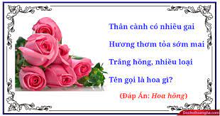 Câu Đố Về Hoa Hồng: Giải Đáp và Những Câu Đố Hay Khác