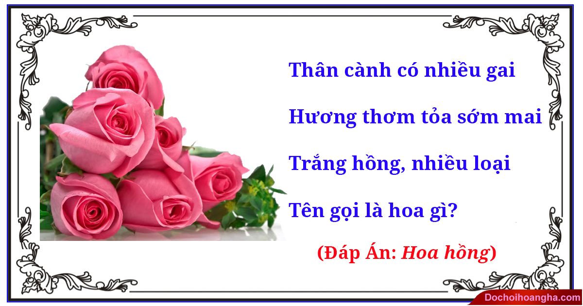 Câu Đố Về Hoa Hồng: Giải Đáp và Những Câu Đố Hay Khác Gallery 1