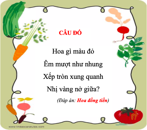 Câu Đố Về Loài Hoa Có Đáp Án