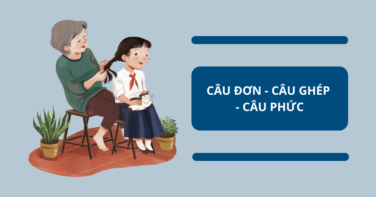 Câu đơn là gì? Câu ghép là gì? Gallery 1