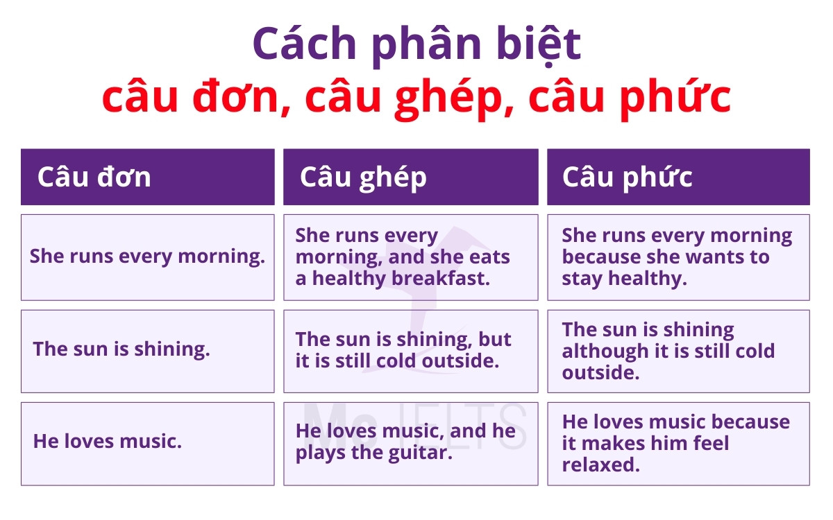 Câu đơn và câu ghép: Khác biệt và ví dụ minh họa