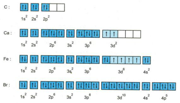 Sự Phân Bố Electron Gallery 2