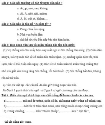 Câu hỏi thường có các từ nghi vấn nào? Gallery 2