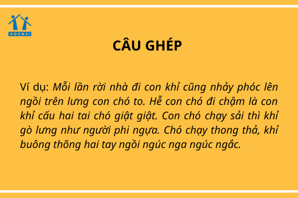 Câu Gì Là Câu Ghép?